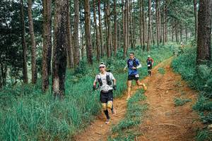 BIB: 
                            <button type="button" onclick="openModal(25661542)" class="btn btn-primary btn-sm float-right btn-popup" data-toggle="modal" data-target=".modal-high-quality">
                        <i class="fas fa-shopping-cart"></i> Add to Cart
                    </button>
                                            <button type="button" onclick="isThisMe(25661542, true)" class="btn btn-success btn-sm float-right btn-popup btn-isme hidden" data-toggle="tooltip" data-placement="bottom" title="นี่คือรูปของคุณใช่ไหม คลิกที่นี่เพื่อเอาเข้าอัลบั้ม">
                        <i class="fas fa-plus"></i> Add to album
                    </button>
                    <button type="button" onclick="isThisMe(25661542, false)" class="btn btn-warning btn-sm float-right btn-popup btn-isnotme hidden">
                        <i class="fas fa-ban"></i> Remove from album
                    </button>